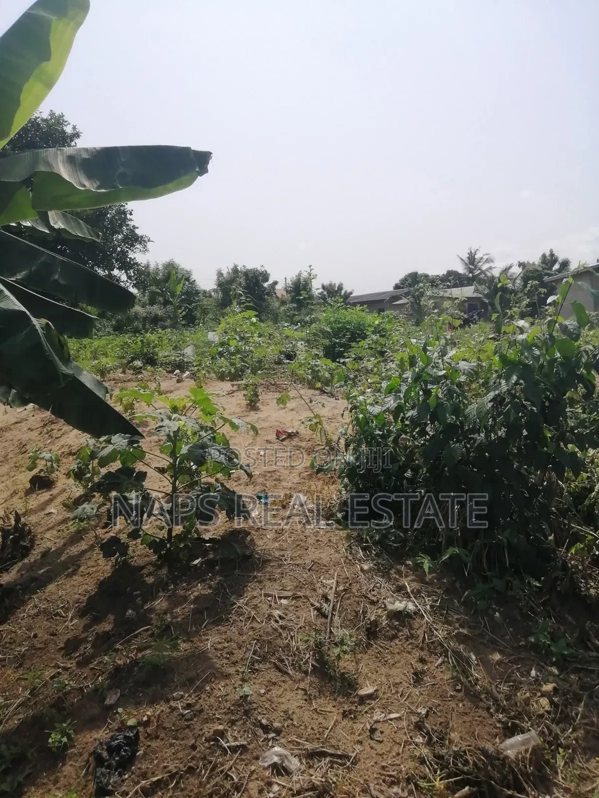 Plots of Land for Sale at a Highly Developed Area in Kasoa