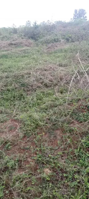 Genuine 70/100 Plot of Land With Genuine Documents for Sale