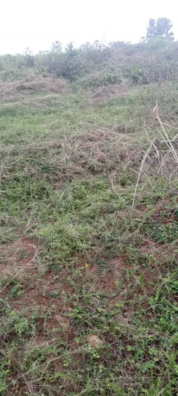 Genuine 70/100 Plot of Land With Genuine Documents for Sale