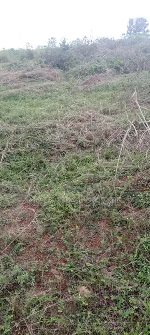 Genuine 70/100 Plot of Land With Genuine Documents for Sale