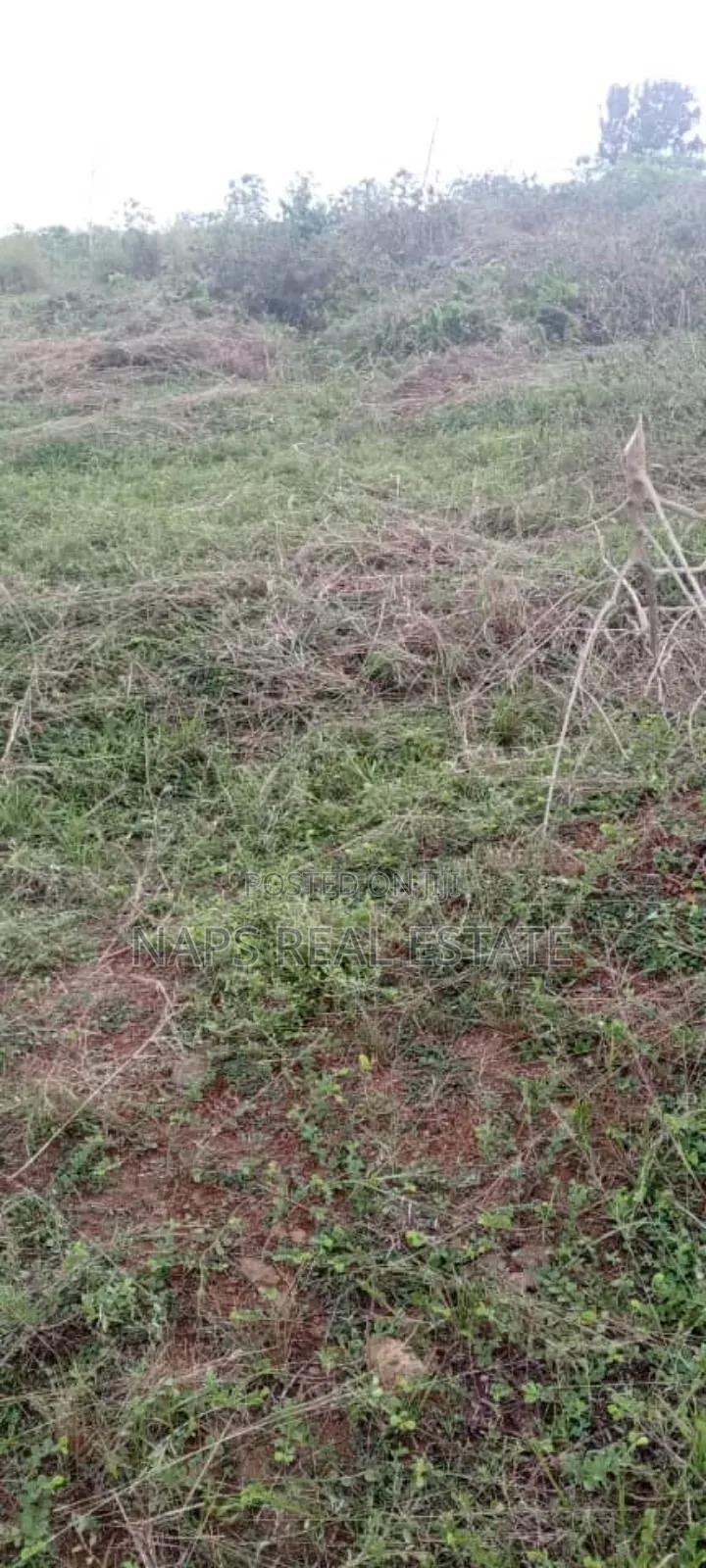 Genuine 70/100 Plot of Land With Genuine Documents for Sale