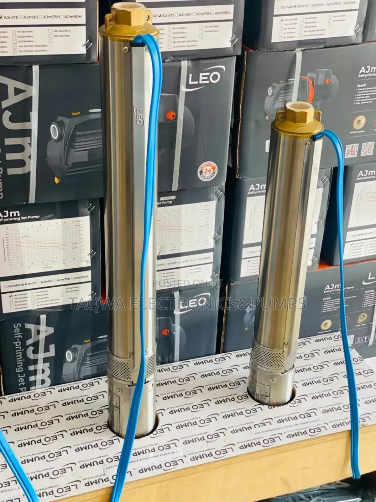 100w_1.0hp Leo Borehole Pump
