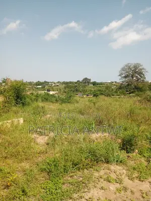 Affordable Lands for Sale (Registered Survey)