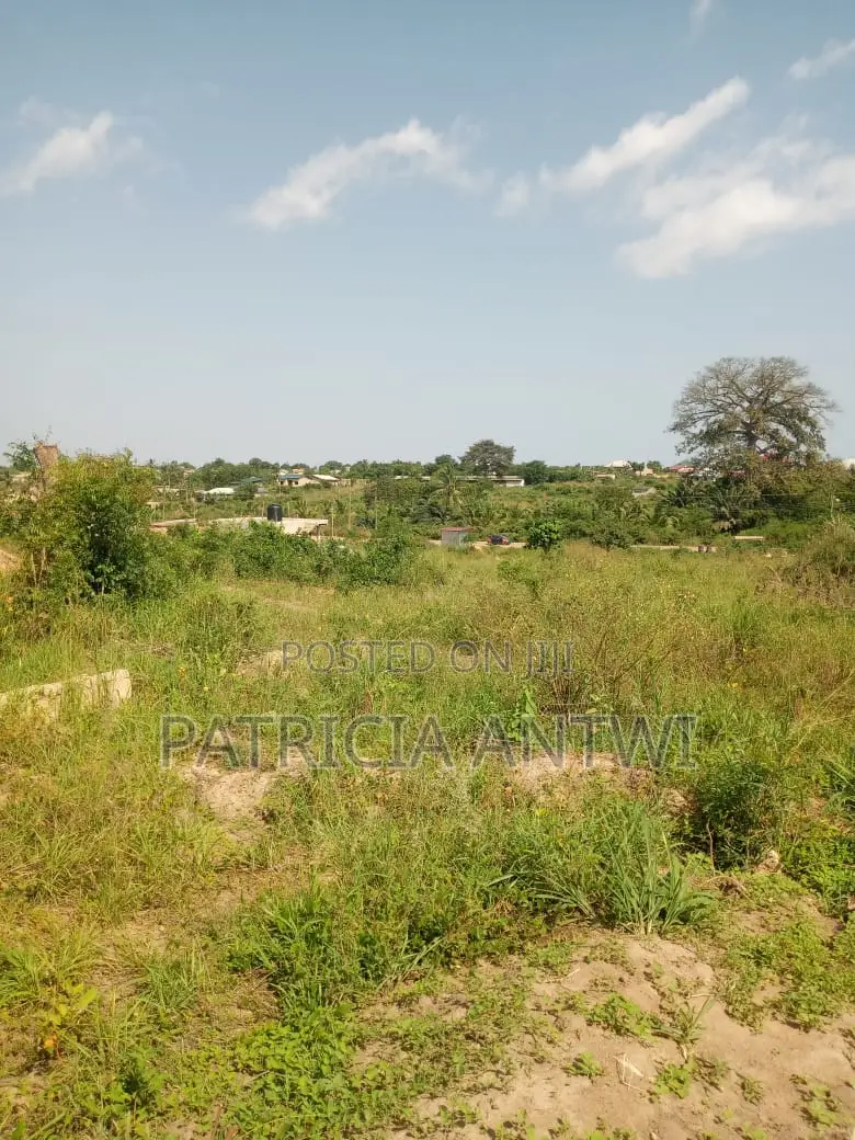 Affordable Lands for Sale (Registered Survey)