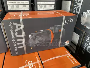 Ajm75 Leo 1.0hp Cast Water Pump