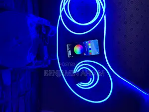 The Neon Edge Lights With Bluetooth Control