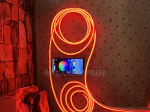 Luma High Neon Strip Light With Remote