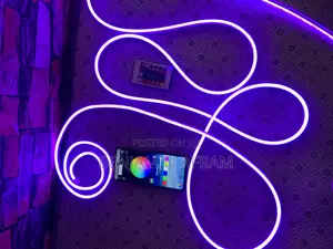 Color Changing Neon Strip Light