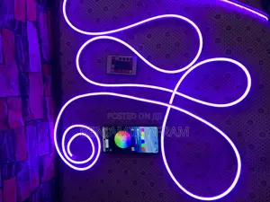 Color Changing Neon Strip Light