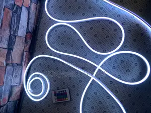 High Pro Neon Music Detector Light