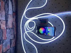 High Pro Neon Music Detector Light