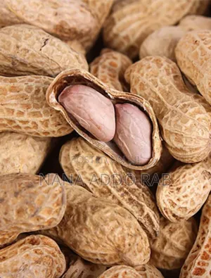 Grand Nut ,Beans and Many More Raw Commodities in Bags for Sell