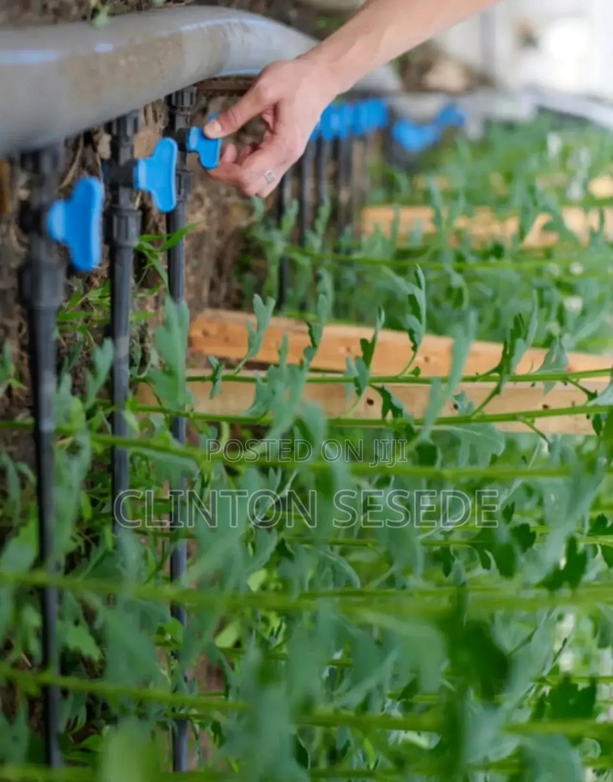 Farming Drip Tape