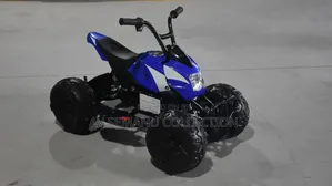 Ride on Utv Car for Kids