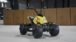 Ride on Utv Car for Kids