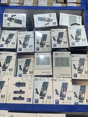 Portable Wireless Microphone - Mini 2