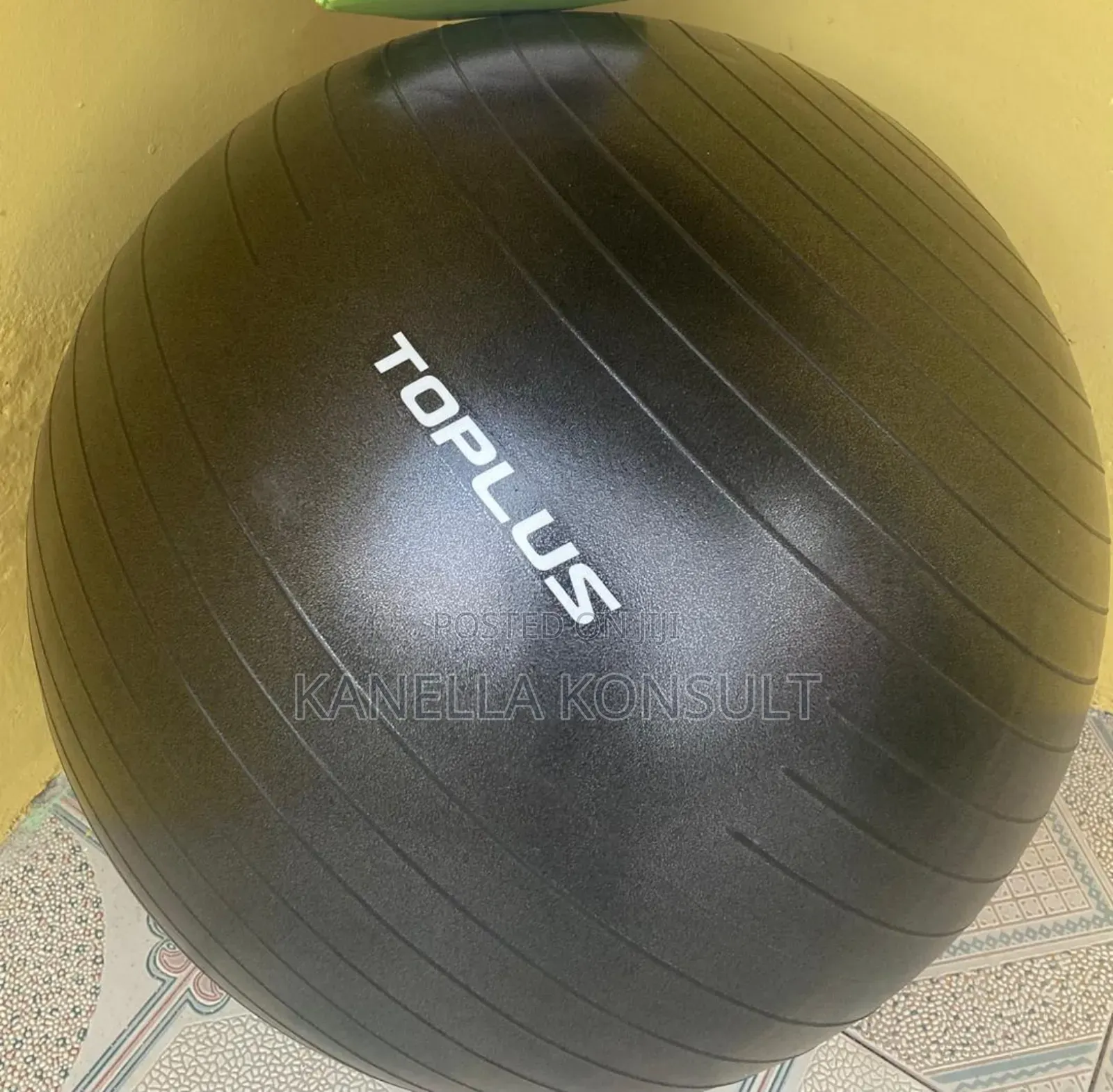 Gym Balls Wholesale