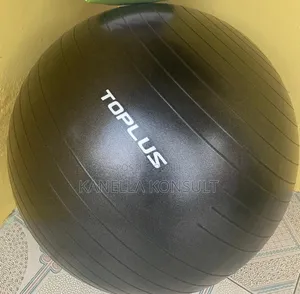 Gym Balls Wholesale