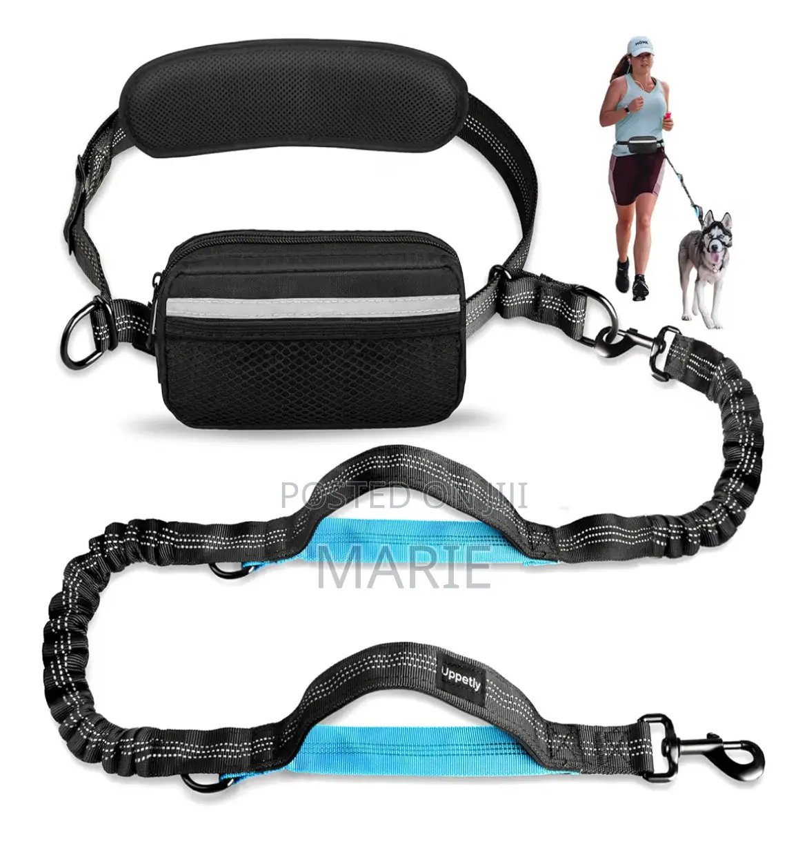 Dog Leash for Walkers/Runners