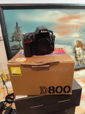 Googo Cameras and Lens From Native Canon and Nikon Company