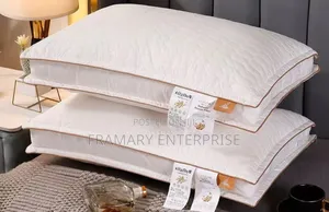 A Pair of Pillow
