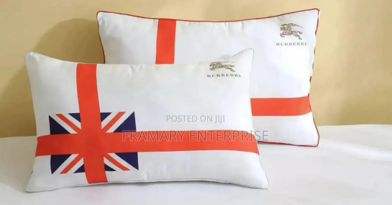 A Pair of Pillow