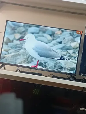 Feel Difference With a 32-Inch Android Tv Offering Smooth Navigation