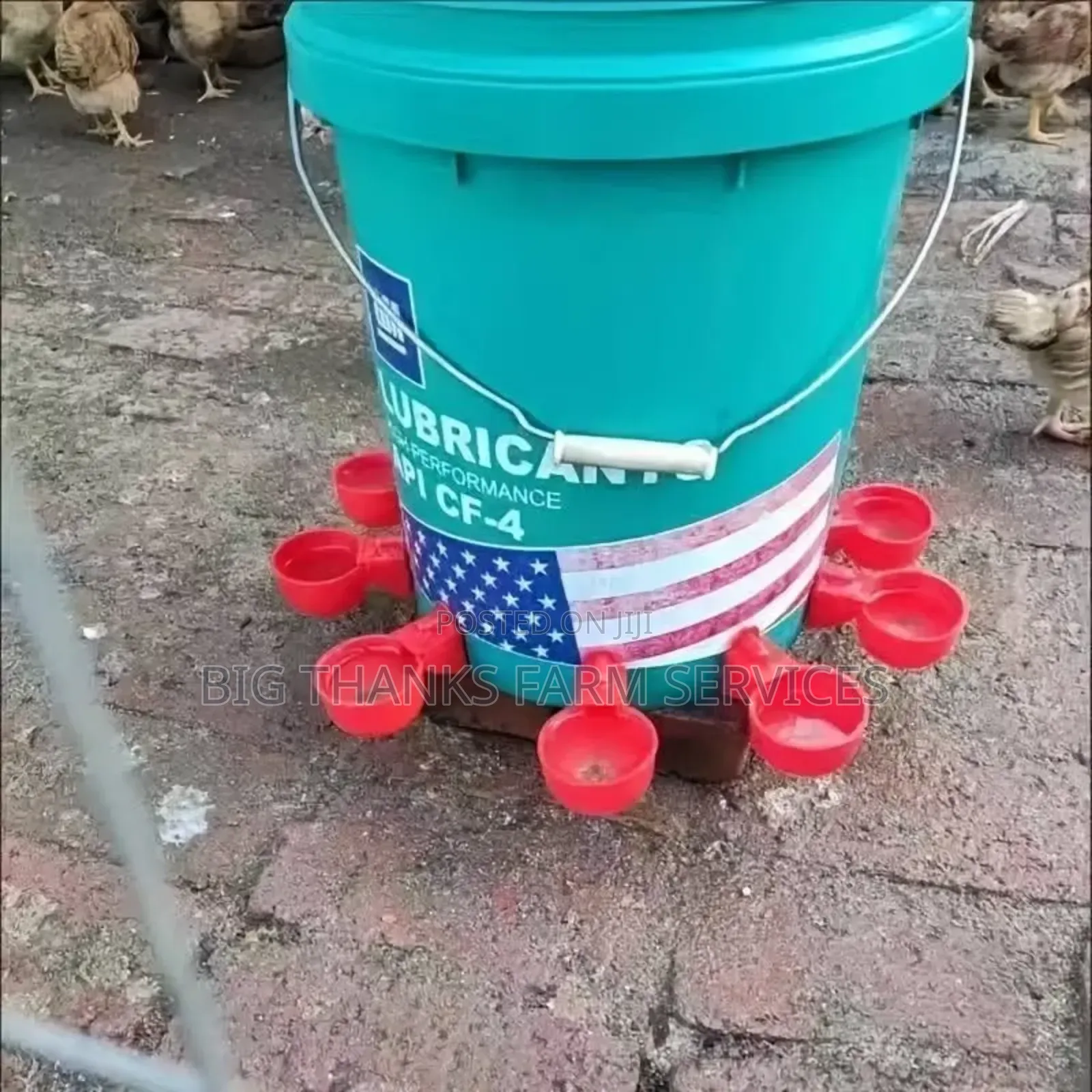 Automatic Poultry Drinkers/Fixed On Gallon