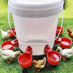 Poultry Automatic Nipples Drinkers