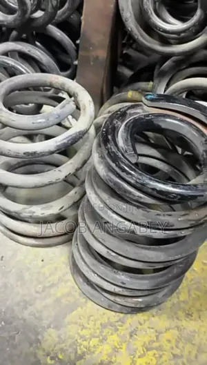 Toyota Fish Coil Spring