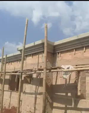 Palapa Design at Work