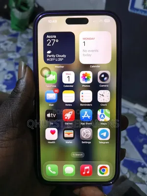 Apple iPhone 15 Pro Max 256 GB Gray