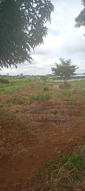 Buduata Plots In The Central Region Are Ready For Sale