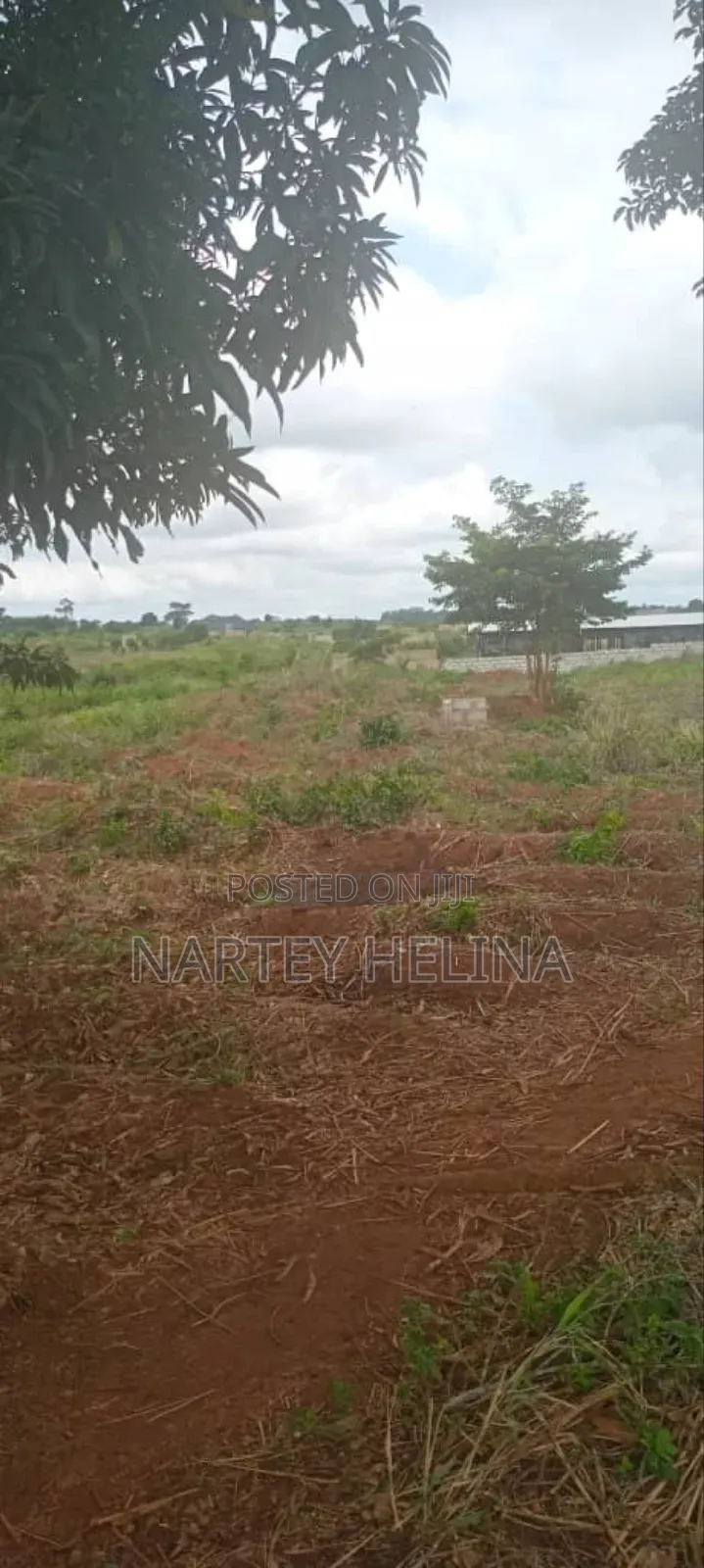 Buduata Plots In The Central Region Are Ready For Sale