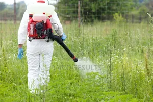 Mosquitoes, Bee, Flies Expert