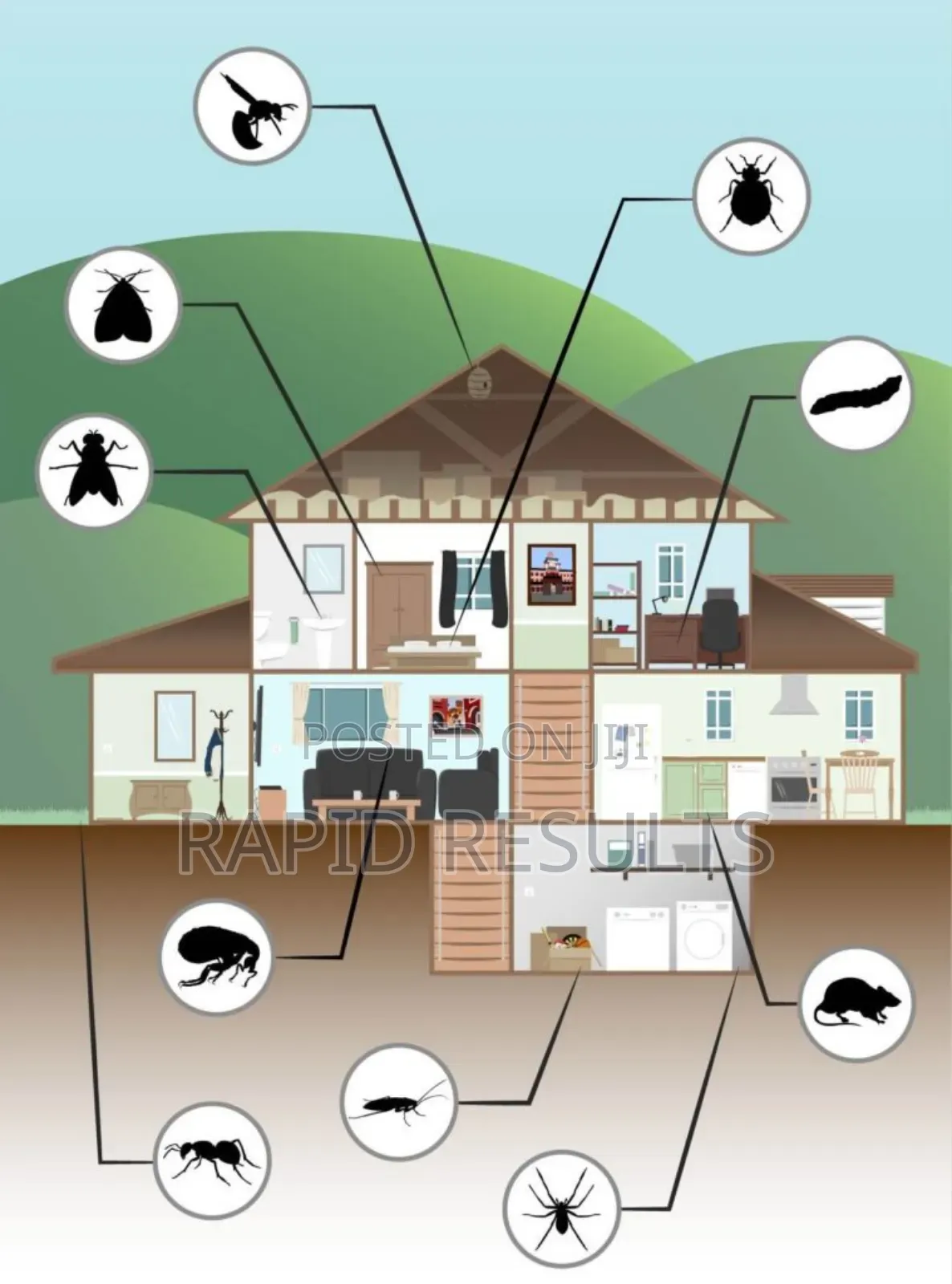 Fumigation and Pest Control