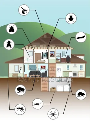 Fumigation and Pest Control