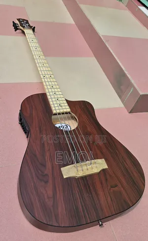Emoj Semi Acoustic Bass Guitar