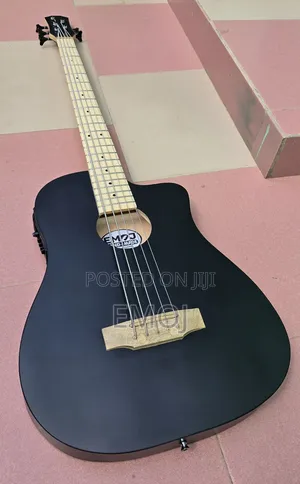 Emoj Semi Acoustic Bass Guitar