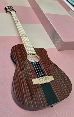 Emoj Semi Acoustic Bass Guitar