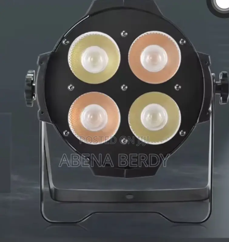 200 Watt Cob Light