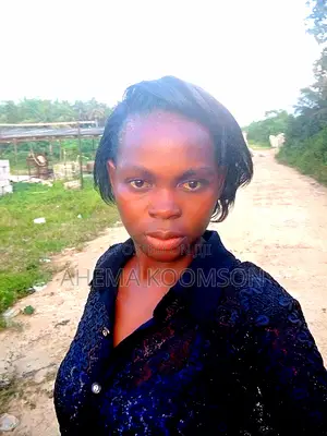 Clerical Administrative CV