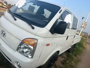 Hyundai Potter