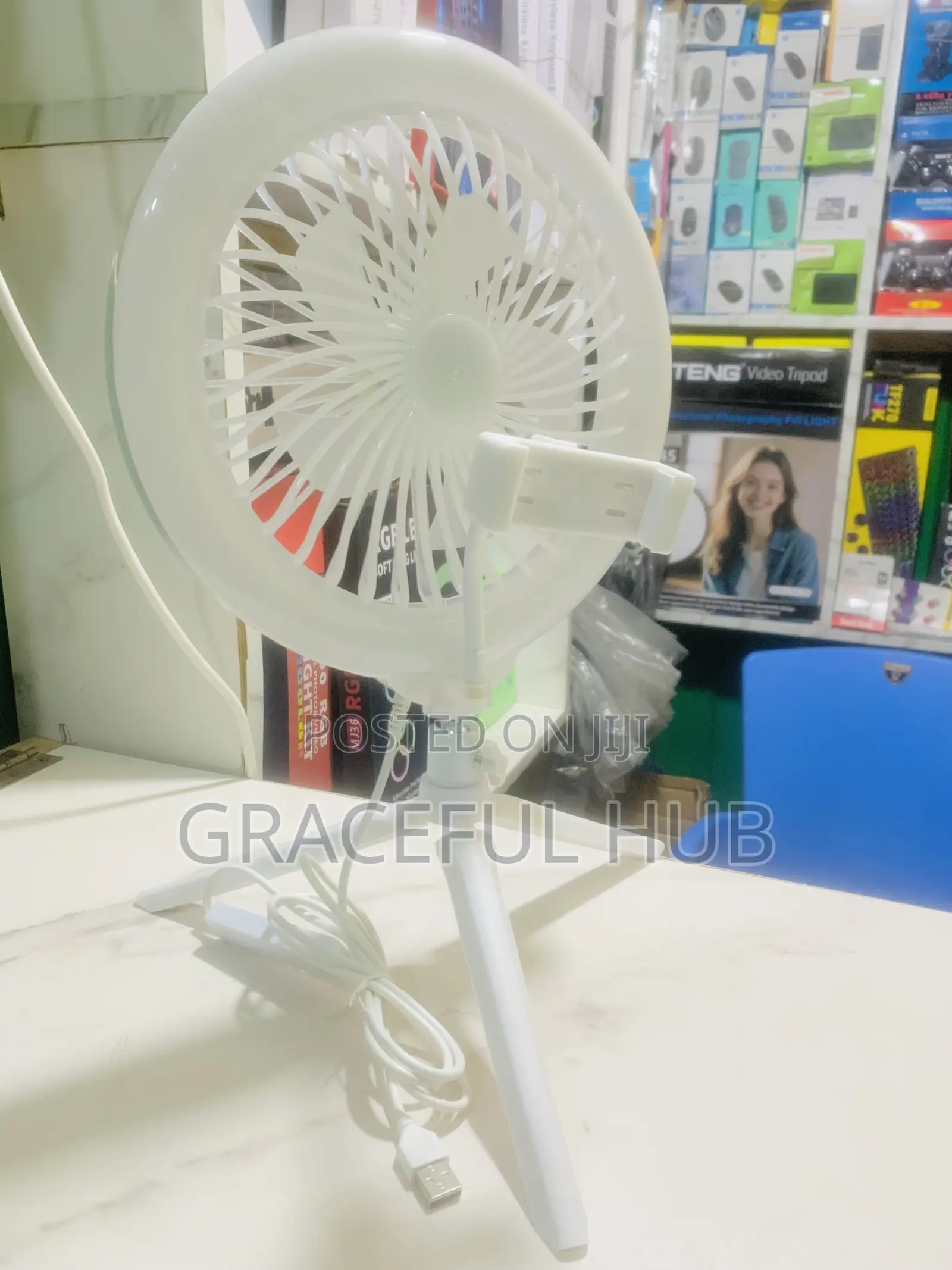 Fs-260 Electric Fan (Rgb)