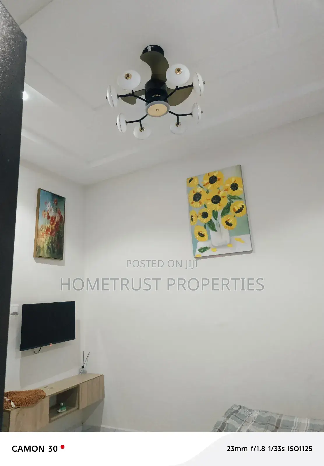 Furnished 4 Bedrooms for Rent at Sonitra