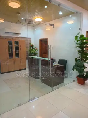 Frameless Single Glass Door.