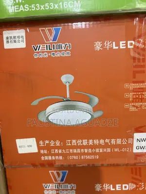 Light and Fan