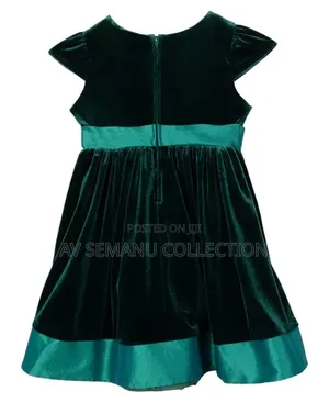 Toddler Little Girls Fit and Flare Social Dress