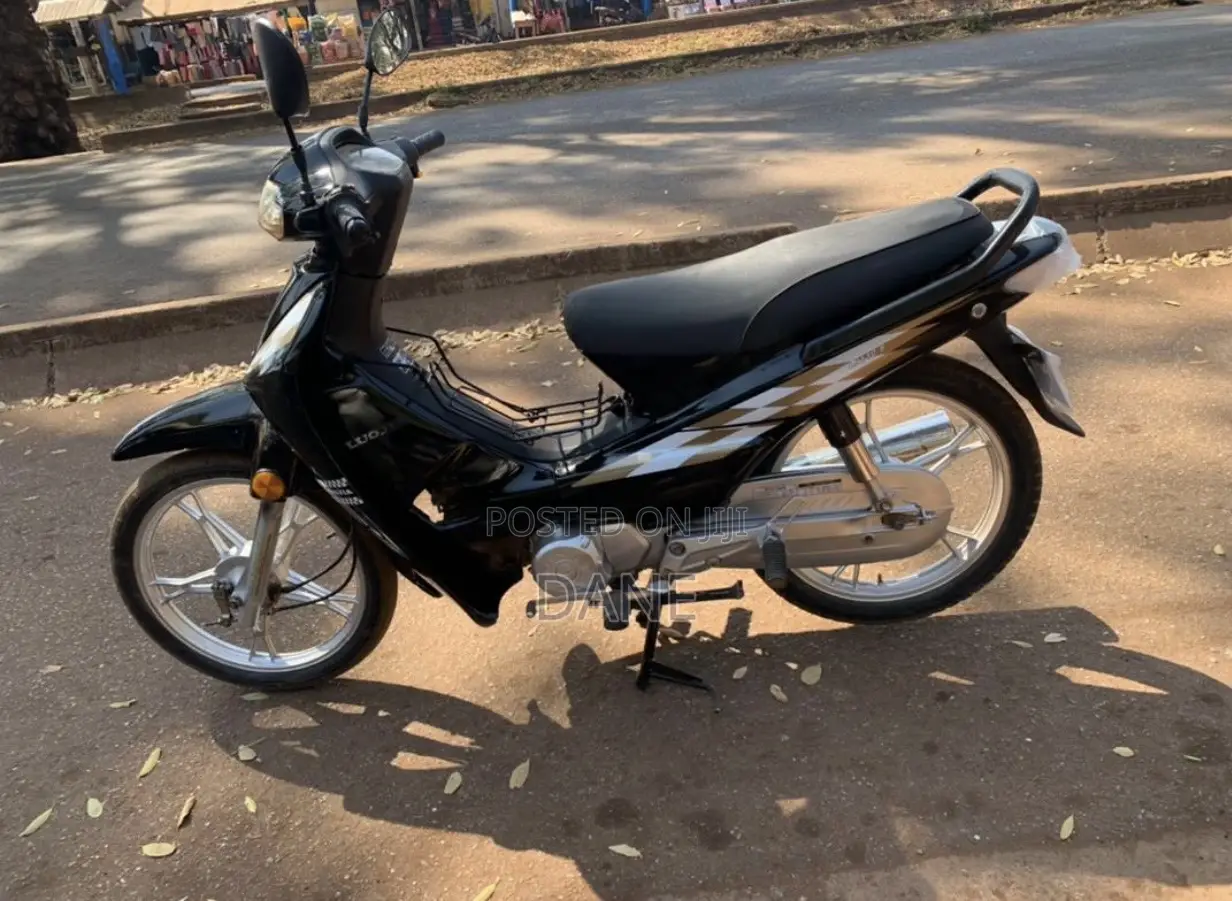 Luojia LJ100ZK-A 2023 Black