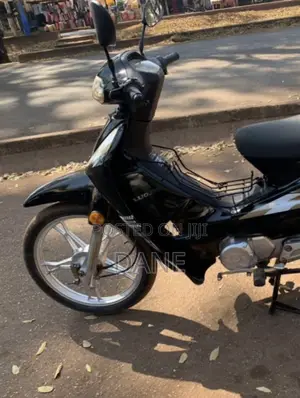 Luojia LJ100ZK-A 2023 Black